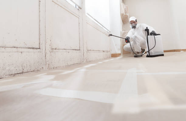 24/7 Emergency Crawl Space Mold Removal experts in Gainesville, FL